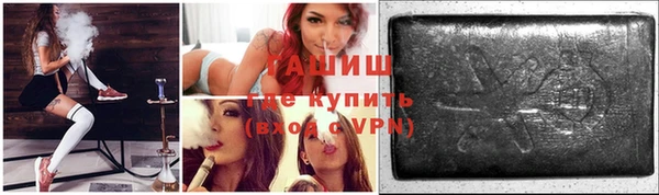 гашик Пестово