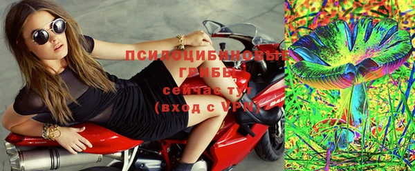 ешки Пересвет