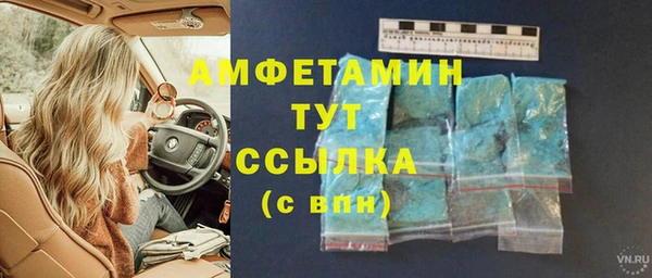 гашик Пестово