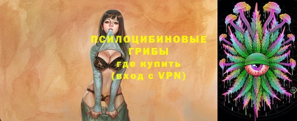 ПСИЛОЦИБИНОВЫЕ ГРИБЫ Аркадак