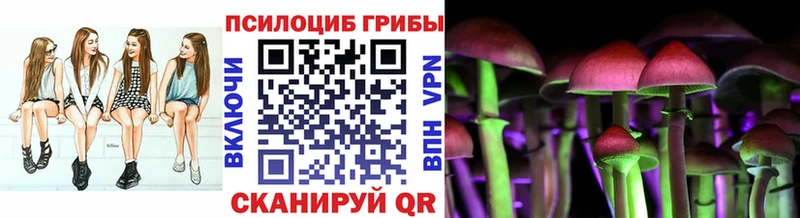 где найти наркотики  дарк нет наркотические препараты  Галлюциногенные грибы GOLDEN TEACHER  Бабаево 